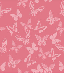 Fototapeta na wymiar butterfly pink background