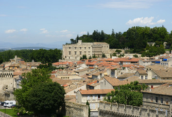 Fototapeta na wymiar Pałac Avignon