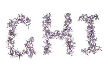 third three letters