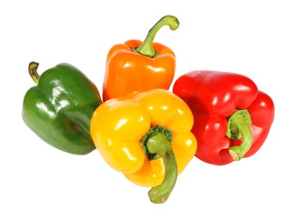 Red yellow orange green pepper. (isolated)