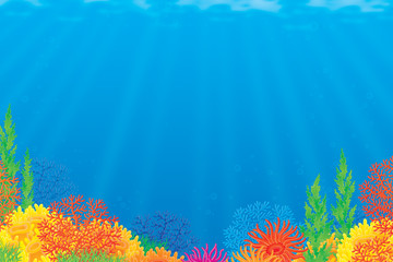 Fototapeta premium Coral reef