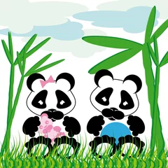 Photo sur Aluminium Ours câlins de panda avec du bambou