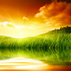 grass and water