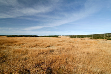 In der Nähe der Elbquelle