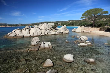 Foto auf Acrylglas Palombaggia Strand, Korsika Korsika