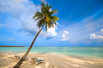 Tropischer einsamer Strand