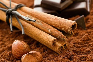 Zimtstangen mit Kakao uns Schokolade