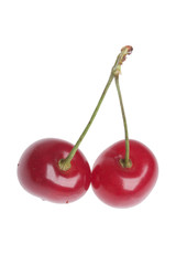 cherries on white background