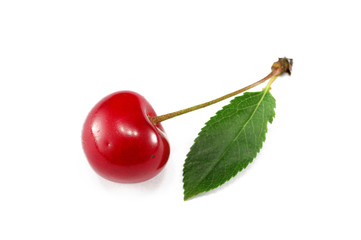 cherry