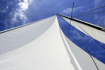 Sailboat sailing blue sea on sunny summer day