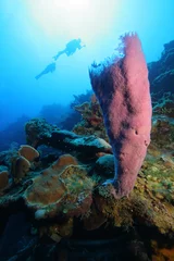 Deurstickers Scuba divers and bright colorful corals © Lightning Strike Pro