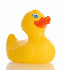yellow rubber duck isolated on white background