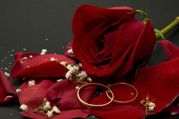 amor 45