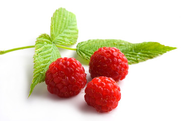 Framboises