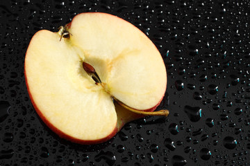 Aepfel,Elstar Kernhaus