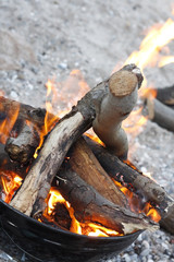Fire