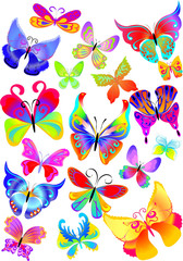 many multicolored butterflies on a white background collection 1