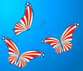 butterfly in the form of a flag of the USA