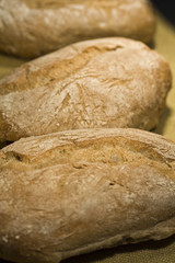 three breads
