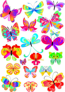 many multicolored butterflies on a white background collection 2