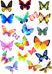 Obraz na płótnie Canvas many multicolored butterflies on a white background collection 3