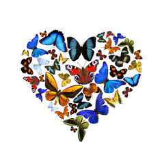 Ein Herz aus Schmetterlingen