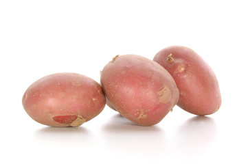 junge Kartoffeln auf einer weissen Flaeche