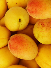 Fruit apricots