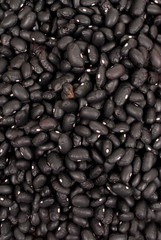 Black Beans