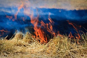 Field Fire