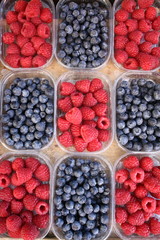 himbeere und heidelbeere / raspberry and blueberry