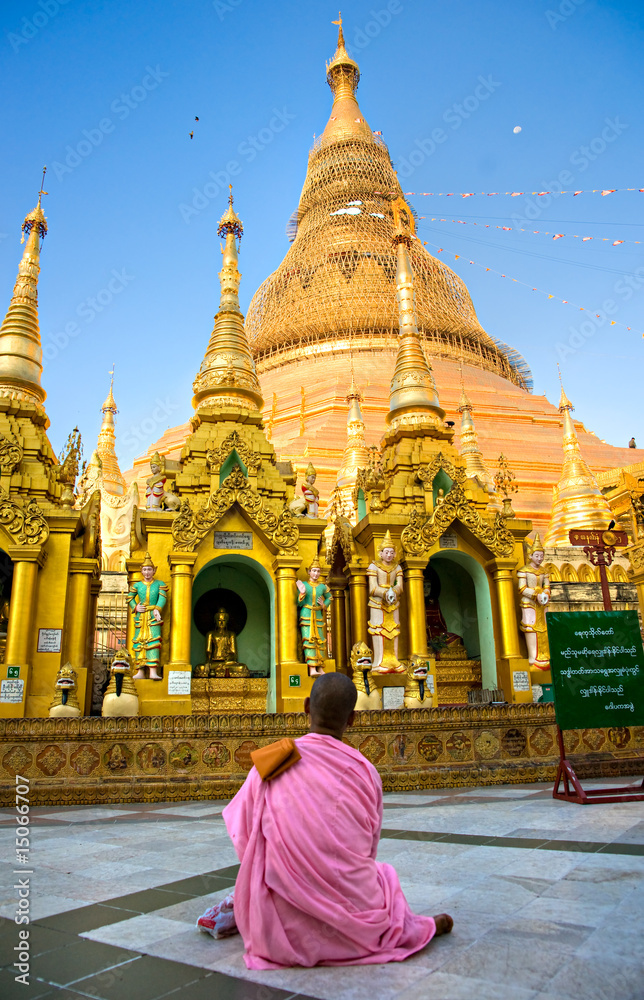 Wall mural Young Lady monk praying at the Shwedagon Paya, Yangoon, Myanmar.