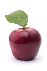 Fresh Apple