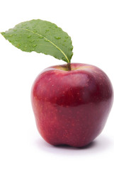 Red Apple Fruit