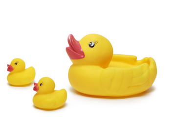 Rubber Duck Family
