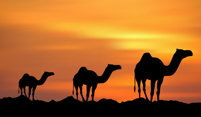 Fototapeta na wymiar Sunset & Camels
