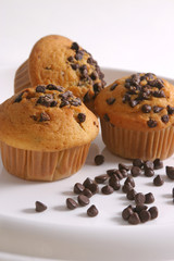 Chocolate-Vanilla Cupcake