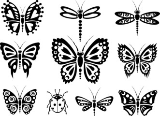 Butterfly silhouettes