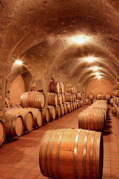 Weinkeller, Rotwein im Barrique-Faß ausgebaut,Eichenfässer