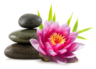 Fototapeta na wymiar Skład Zen kamienie i bambusa lotosu