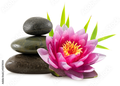 Composition Zen Pierres Lotus Et Bambou Photo Libre De