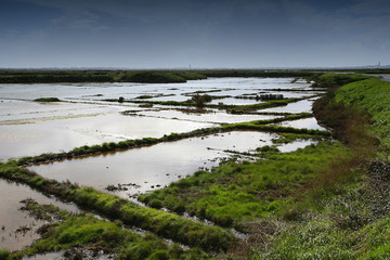 Salines _France