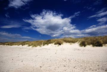 Toscana, spiagge bianche a Vada:  le dune 2