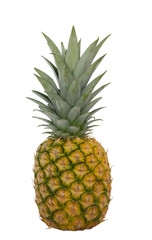 Fototapeta premium Ananas