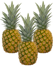 Obraz premium ananas