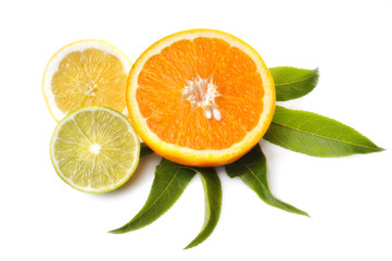 Citrusfrüchte angeschnitten