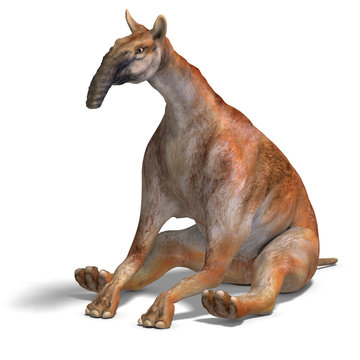 Dinosaur Macrauchenia
