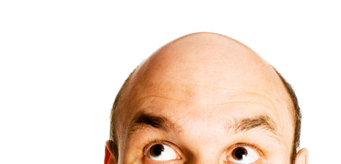 bald head isolated - obrazy, fototapety, plakaty