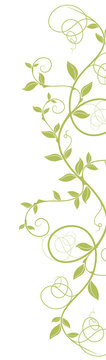 liane courbe vectoriel - ai - tige vert nature sur fond blanc