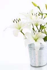 Crédence de cuisine en verre imprimé Nénuphars White lily flowers